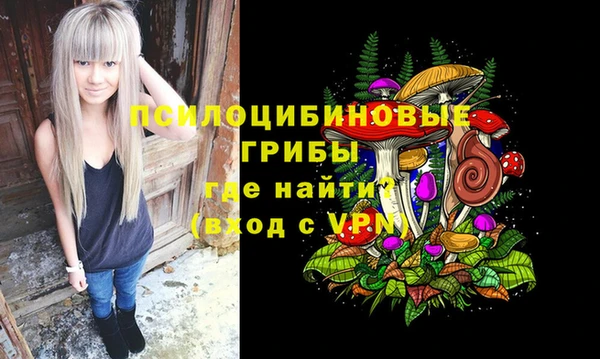 ALPHA PVP Осинники