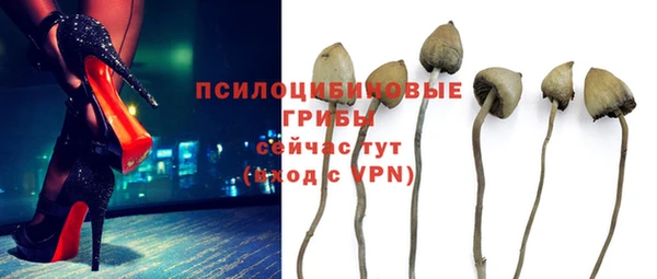 экстази Осташков