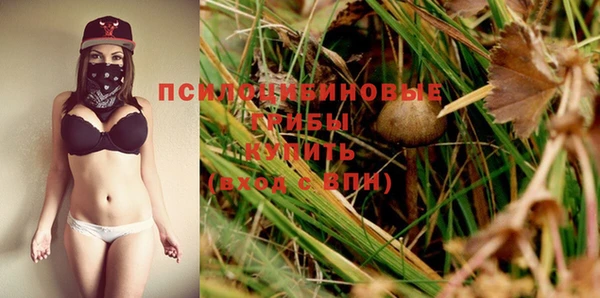 экстази Осташков