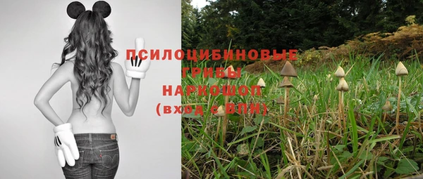 экстази Осташков
