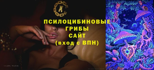 ALPHA PVP Осинники