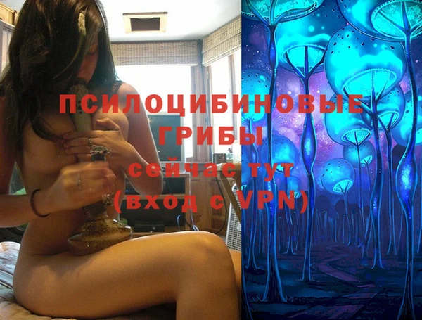 ALPHA PVP Осинники
