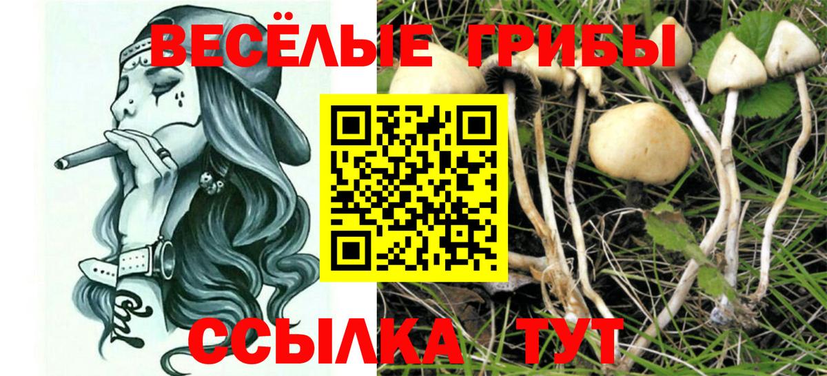 Галлюциногенные грибы GOLDEN TEACHER Тула