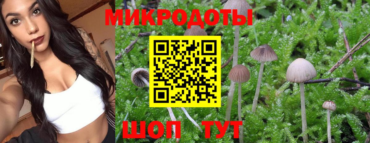 Галлюциногенные грибы Magic Shrooms  Вход с VPN  Тула 