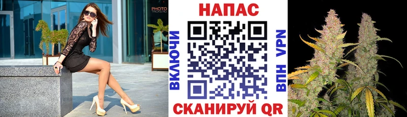 дарнет шоп  Тула  Шишки марихуана THC 21% 
